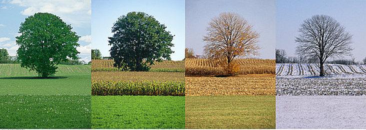 SEGA注册新商标疑似为《索尼克2022》正式定名