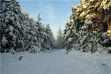 《遗物猎人传说》将于9＆25推出抢先体验版